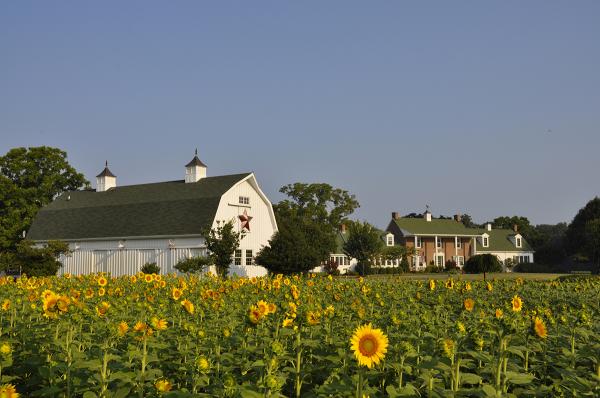 Inn at Huntingfield Creek